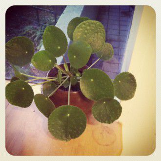 photo-17