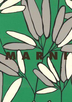 MARNI