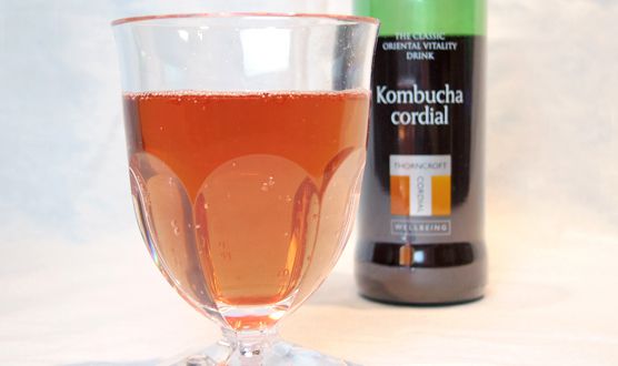 kombucha2