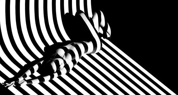 Giacobetti-zebra