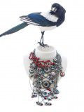 Magpie with eyenecklace reisze1