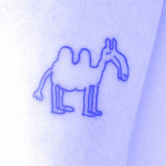 Camel