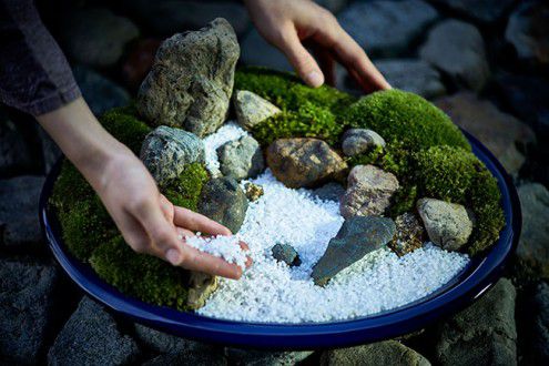 Guest Activity_Garden Making 1