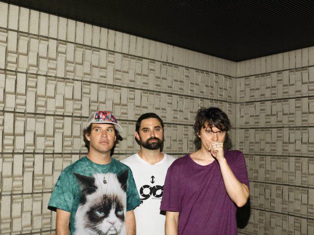 animalcollective1