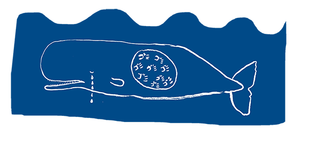 whale