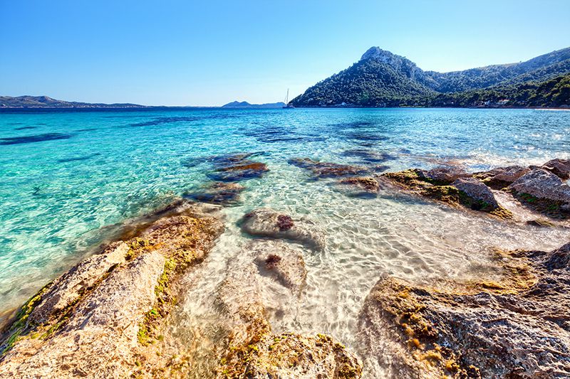 mebeforeu-mallorca_800x533