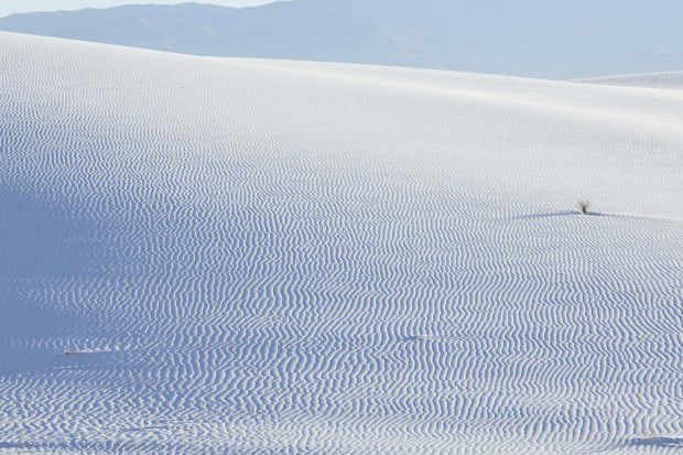 dune-portraiture_1