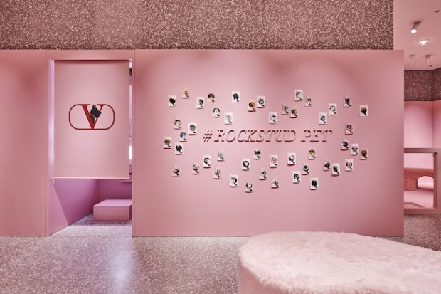 バッグにペットのイラストをプリント、一緒に写真を楽しめるフォト